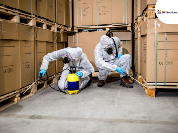 Exterminateur professionnel réalisant une désinsectisation à Toulouse