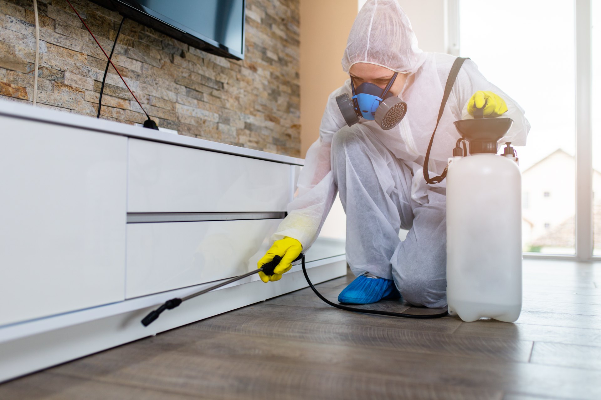 Technicien en dératisation à Toulouse